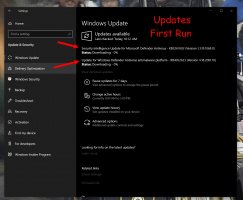 WINDOWS UPDATES FIRST RUN.jpg