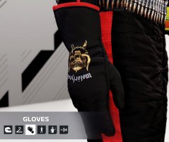 gloves.JPG