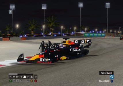 bug_f1.jpg