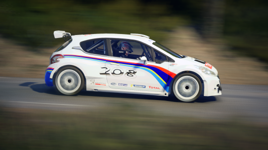 Peugeot 208 T16 R5 | OverTake.gg