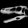 deinonychus24