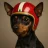 Pinscher