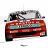 ATCC Rover SD1 TWR Bastos Team