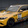 BMW M2 CUP BUZZIN HORNET