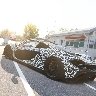 P1 Camo Skin " Anti-Paparazzi "