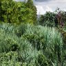 Grass Textures Pack for default tracks (2D Meshes) More Dense