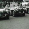 1955 Le Mans Triumph TR2 ( TR3A ) Skinpack