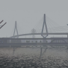 3D Trees for HAMBURG by 4r