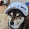 Kuroshiba`s full scratch orginal track -AKAGI- (GrassFX & PIT32)