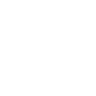 Nissan Aptos F1 Team