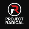Custom FFB Script - Project: Radical FFB
