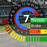 F1 2009 Hud