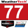 IMSA 2025 TEAM AO RACING Skeleton Rexy #77 | RSS GT-M PROTECH P92 F6
