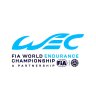 Wec 2025 Bahrain skin