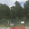 Dynamic Tree Sway